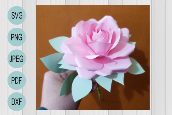 Precious Lali Rose Flower Template: 3D SVG Shapes Review
